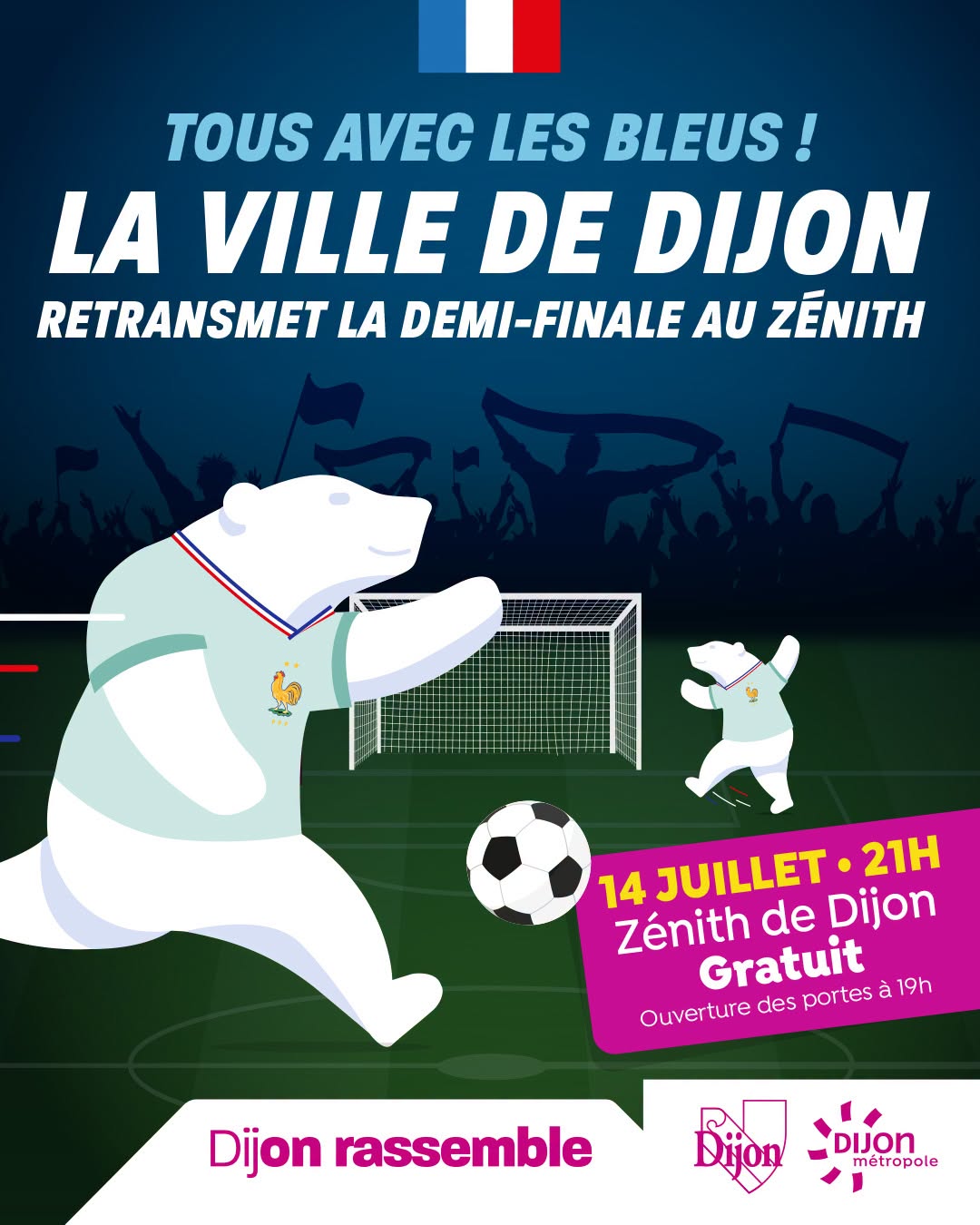 Retransmission de la demi-finale France Espagne au Zénith